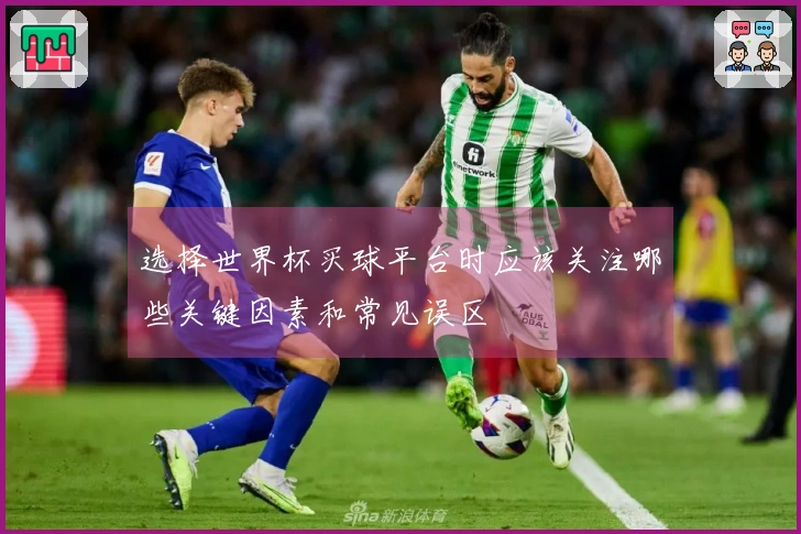 选择世界杯买球平台时应该关注哪些关键因素和常见误区
