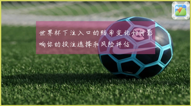 世界杯下注入口的赔率变化如何影响你的投注选择和风险评估