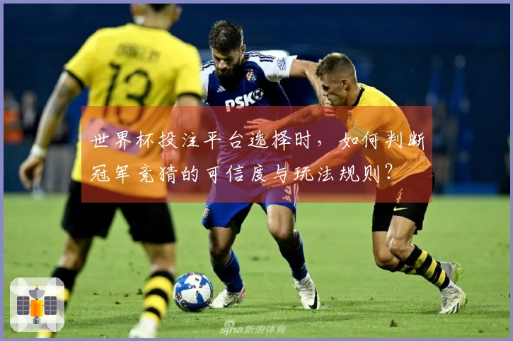 世界杯投注平台选择时，如何判断冠军竞猜的可信度与玩法规则？