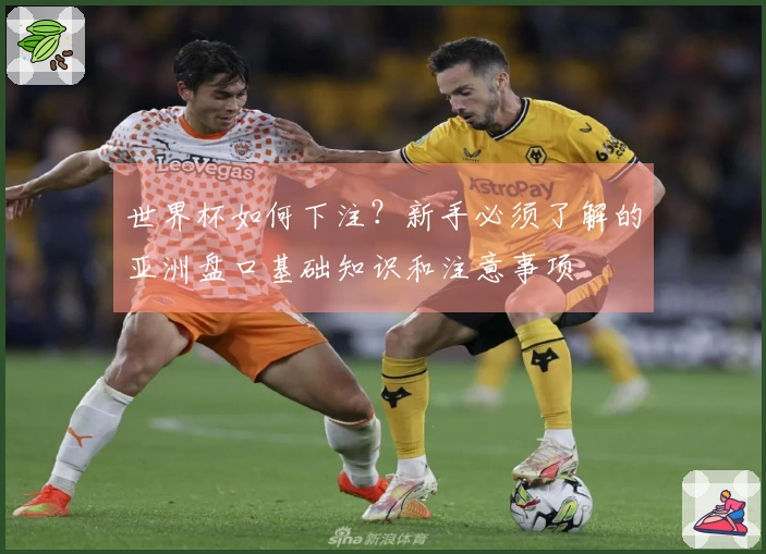 世界杯如何下注？新手必须了解的亚洲盘口基础知识和注意事项