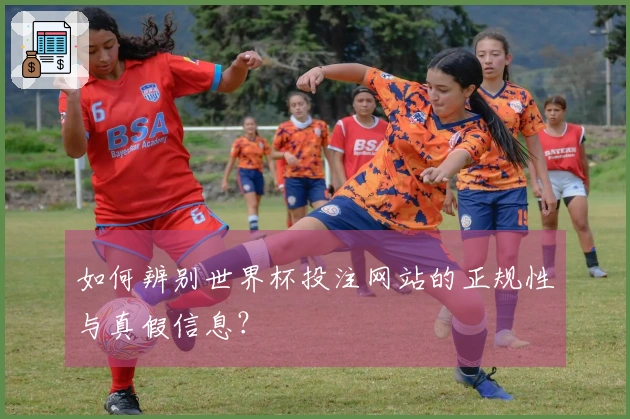 如何辨别世界杯投注网站的正规性与真假信息？
