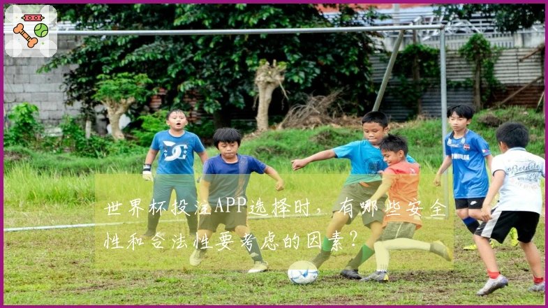 世界杯投注APP选择时，有哪些安全性和合法性要考虑的因素？