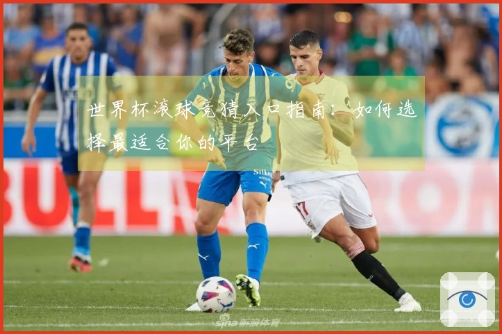 世界杯滚球竞猜入口指南：如何选择最适合你的平台