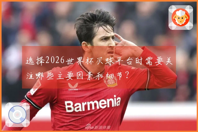 选择2026世界杯买球平台时需要关注哪些主要因素和细节？
