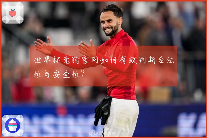 世界杯竞猜官网如何有效判断合法性与安全性？
