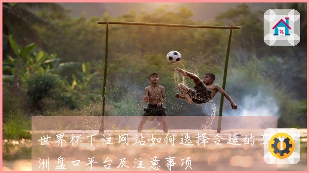 世界杯下注网站如何选择合适的亚洲盘口平台及注意事项