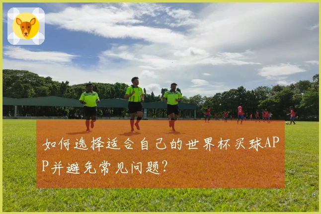 如何选择适合自己的世界杯买球APP并避免常见问题？