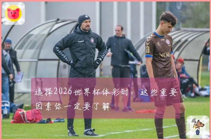 选择2026世界杯体彩时，这些重要因素你一定要了解