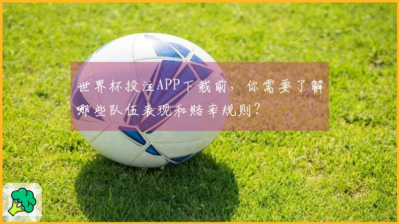 世界杯投注APP下载前，你需要了解哪些队伍表现和赔率规则？