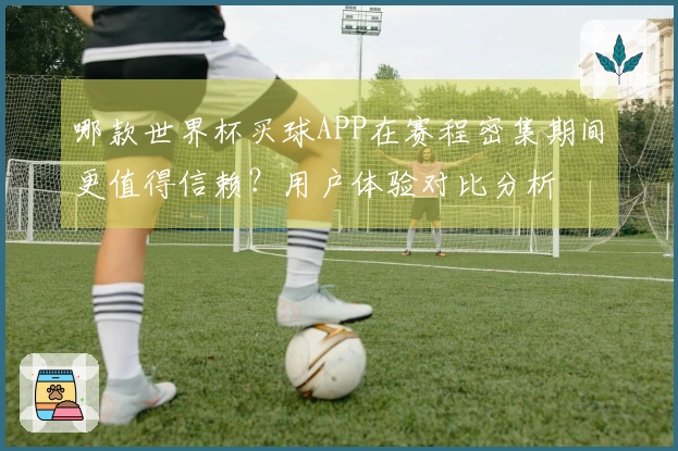 哪款世界杯买球APP在赛程密集期间更值得信赖？用户体验对比分析