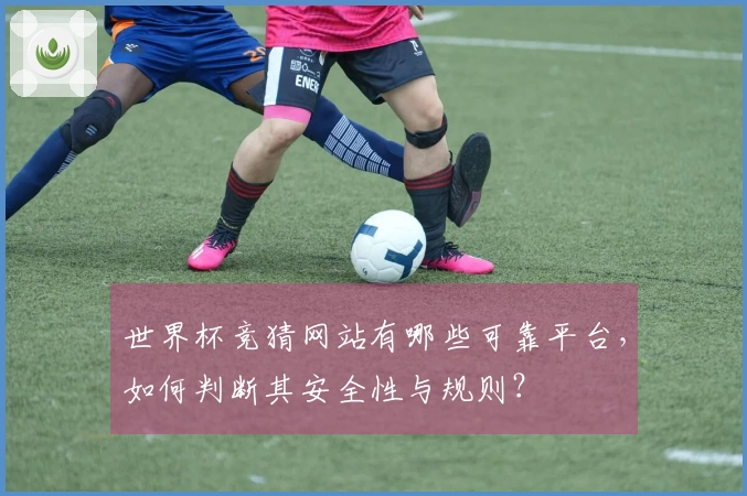 世界杯竞猜网站有哪些可靠平台，如何判断其安全性与规则？