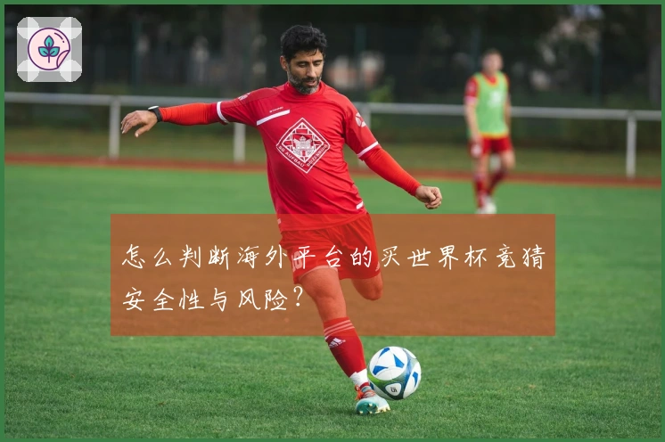 怎么判断海外平台的买世界杯竞猜安全性与风险？