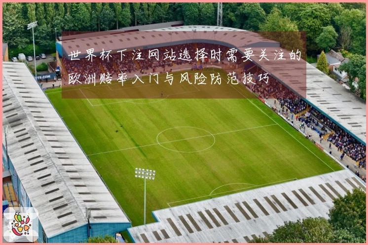 世界杯下注网站选择时需要关注的欧洲赔率入门与风险防范技巧
