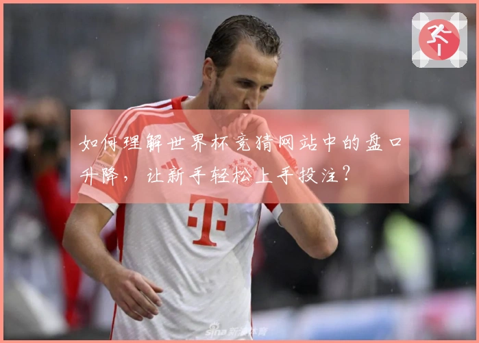 如何理解世界杯竞猜网站中的盘口升降，让新手轻松上手投注？