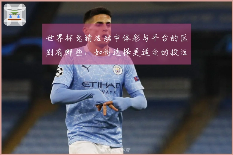 世界杯竞猜活动中体彩与平台的区别有哪些，如何选择更适合的投注方式？