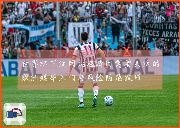 世界杯下注网站选择时需要关注的欧洲赔率入门与风险防范技巧