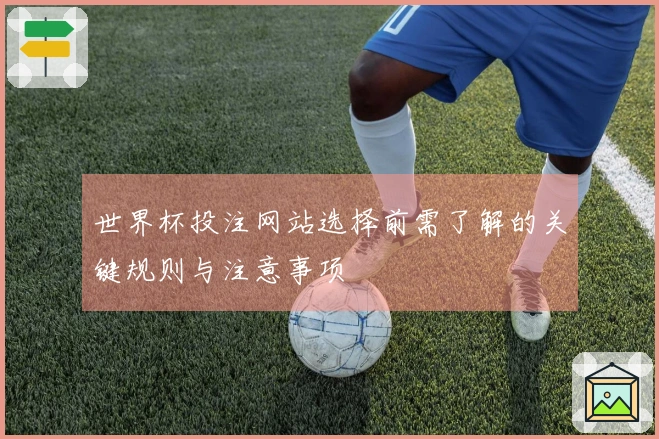 世界杯投注网站选择前需了解的关键规则与注意事项
