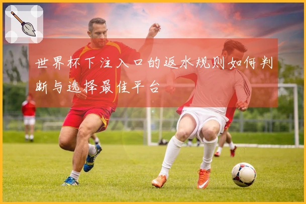 世界杯下注入口的返水规则如何判断与选择最佳平台