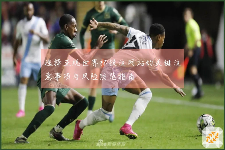 选择正规世界杯投注网站的关键注意事项与风险防范指南