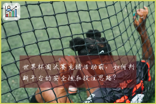 世界杯淘汰赛竞猜活动前，如何判断平台的安全性和投注思路？