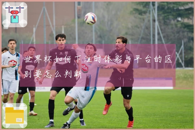 世界杯如何下注时体彩与平台的区别要怎么判断