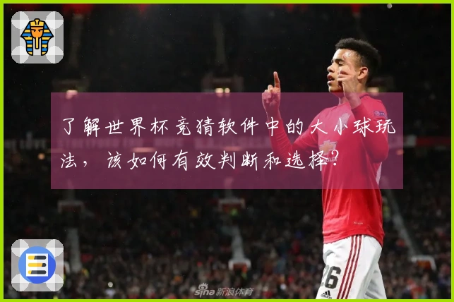 了解世界杯竞猜软件中的大小球玩法，该如何有效判断和选择？
