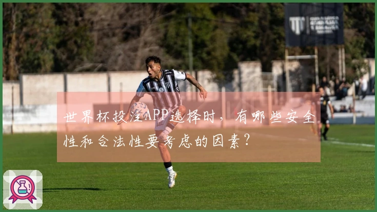 世界杯投注APP选择时，有哪些安全性和合法性要考虑的因素？