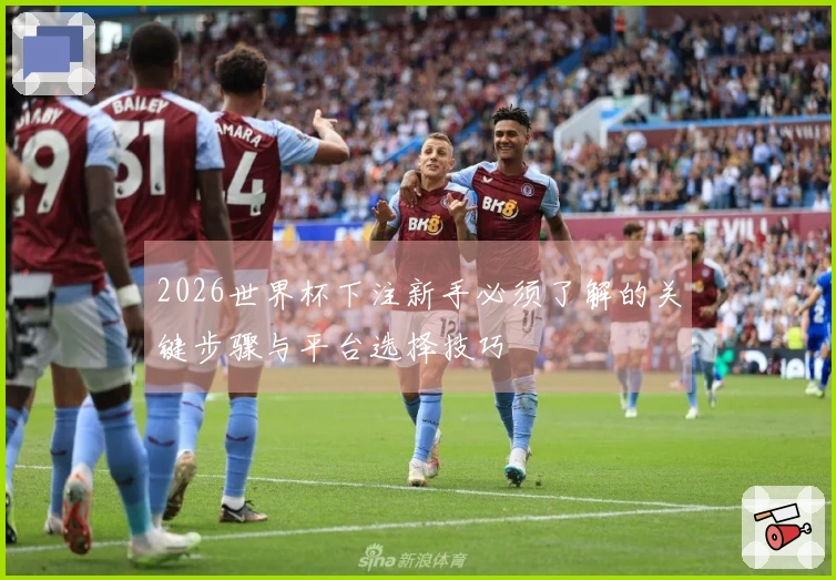 2026世界杯下注新手必须了解的关键步骤与平台选择技巧